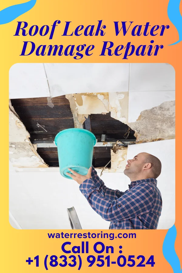Roof Leak Water Damage Repair in Salisbury, MO